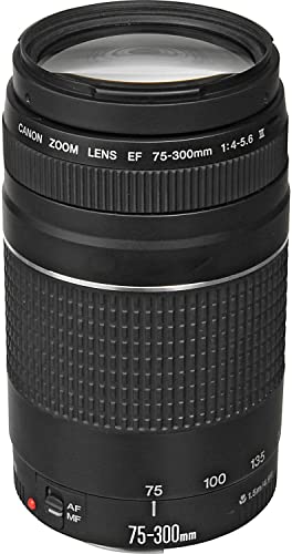 Canon EOS 2000D Spiegelreflexkamera - 8